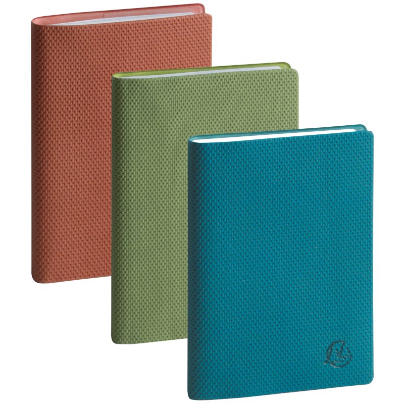 EXACOMPTA agenda hebdomadaire SAS 20 Visuel 7, 150×210 mm, 1 semaine par 2 pages, paquet de 3 pièces