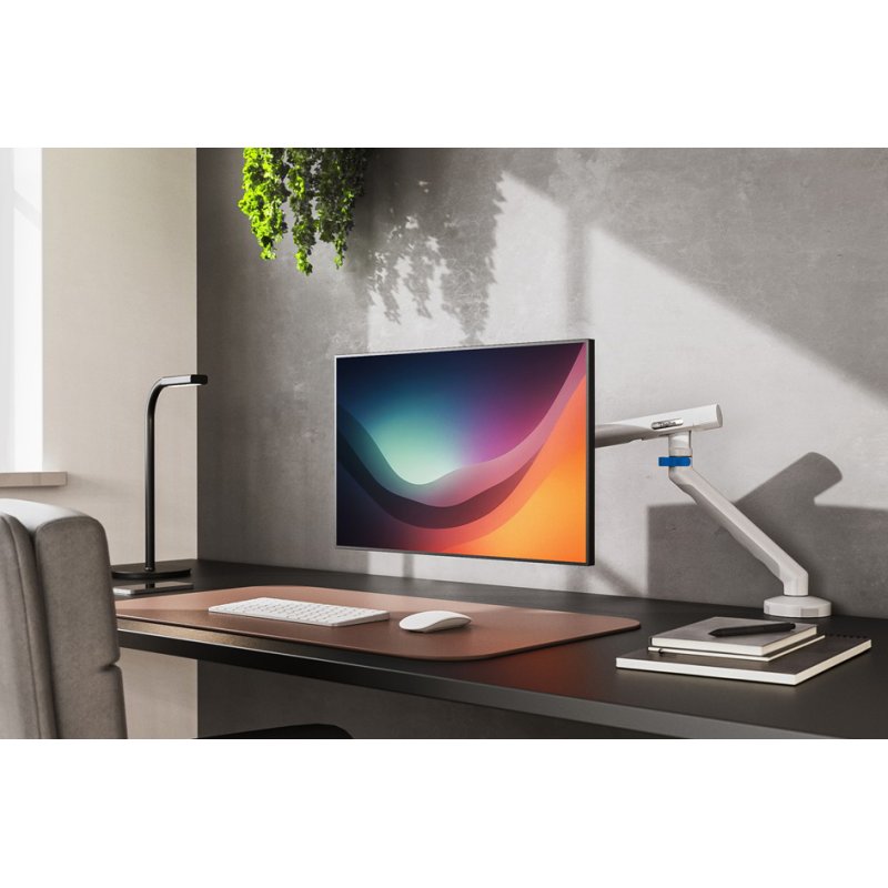 DIGITUS monitorarm met klem, 1 monitor tot 35 inch, VESA 75×75/100×100, zwart