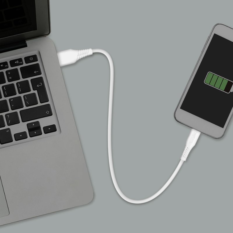 LogiLink Câble USB 2.0 USB-A vers USB-C, blanc, 1,0 m