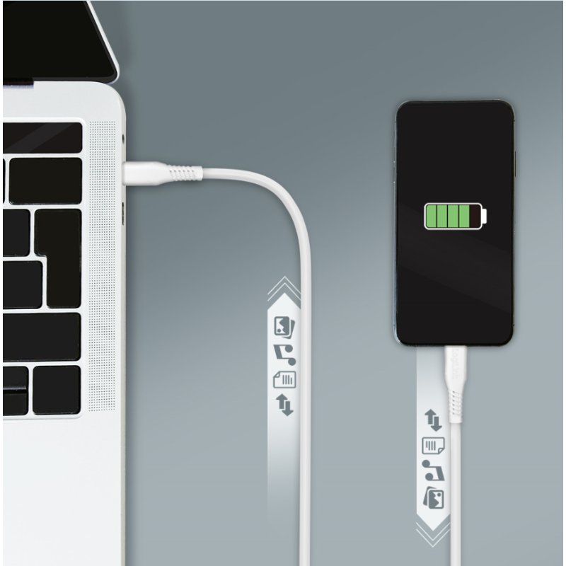 LogiLink Câble USB 2.0 USB-C vers USB-C, 0,3 m, blanc