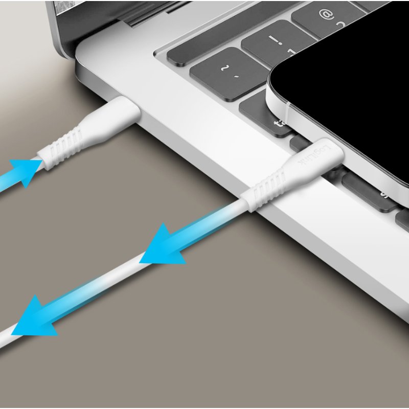 LogiLink Câble USB 2.0 USB-C vers USB-C, 0,3 m, blanc