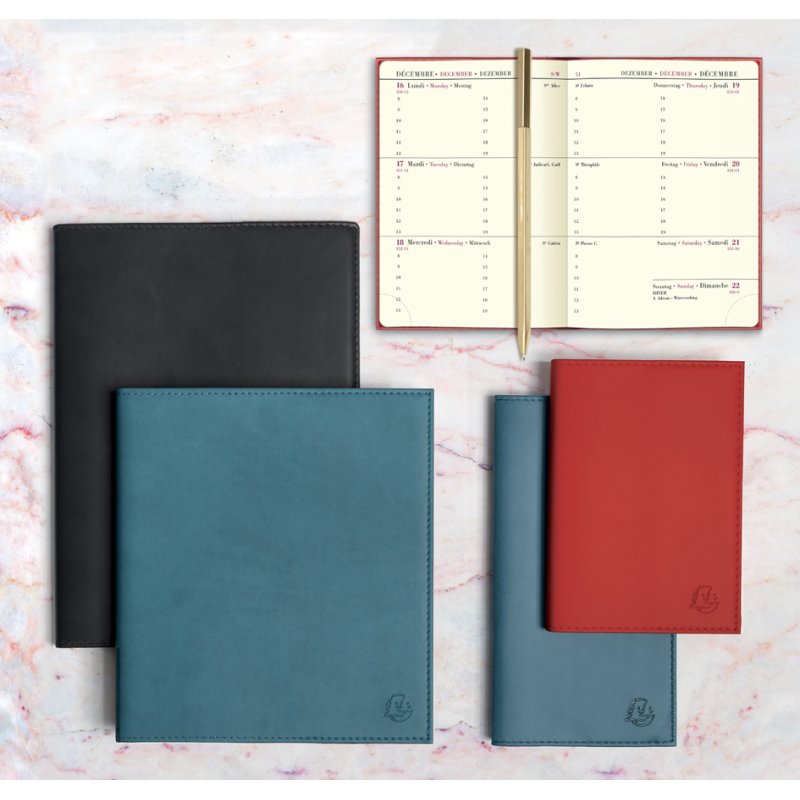EXACOMPTA recharge agenda EXAPLAN 16 accordéon, 90 x 160 mm, 1 mois par page