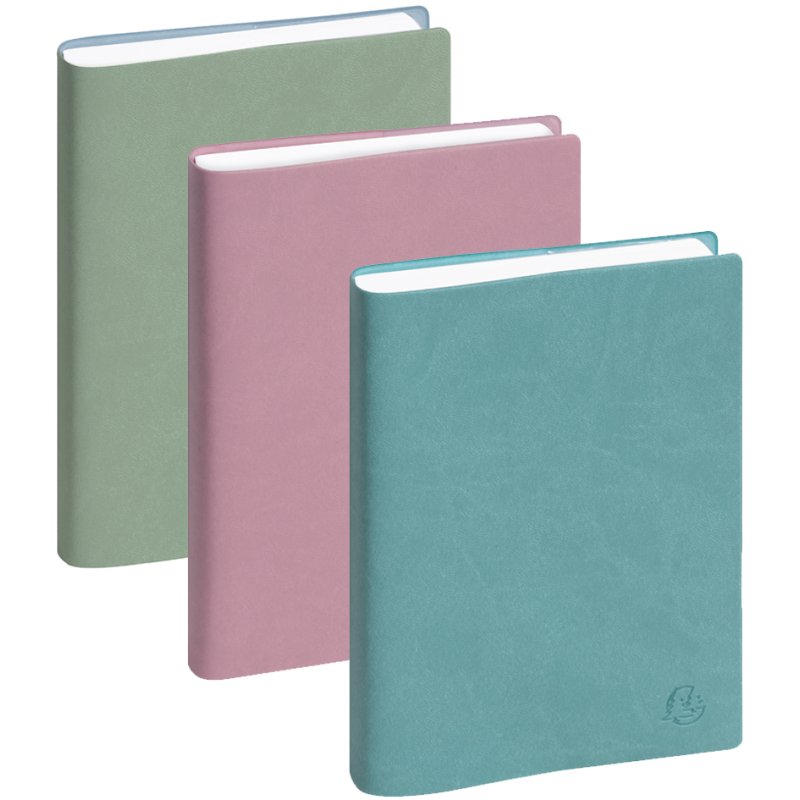 EXACOMPTA pocket agenda EasyDay 17, 120 x 170 mm, 1 day per page, pack of 5
