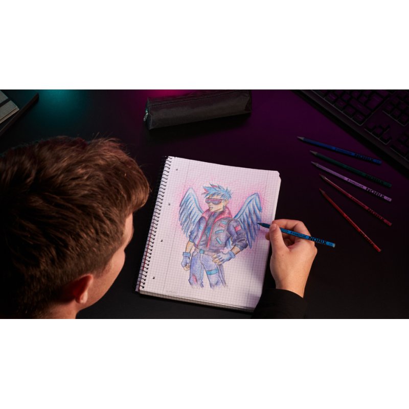STAEDTLER colouring pencils NORIX, 18-piece, soft-grip, 16 colouring pencils + 2 pencils