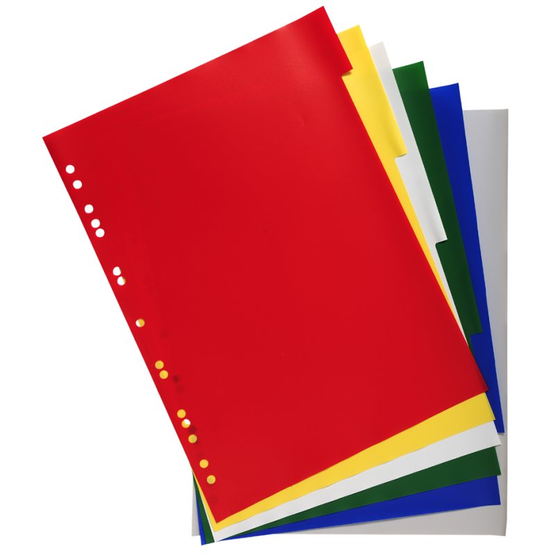 EXACOMPTA A4 divider sheets, 12-part, PP, coloured tabs